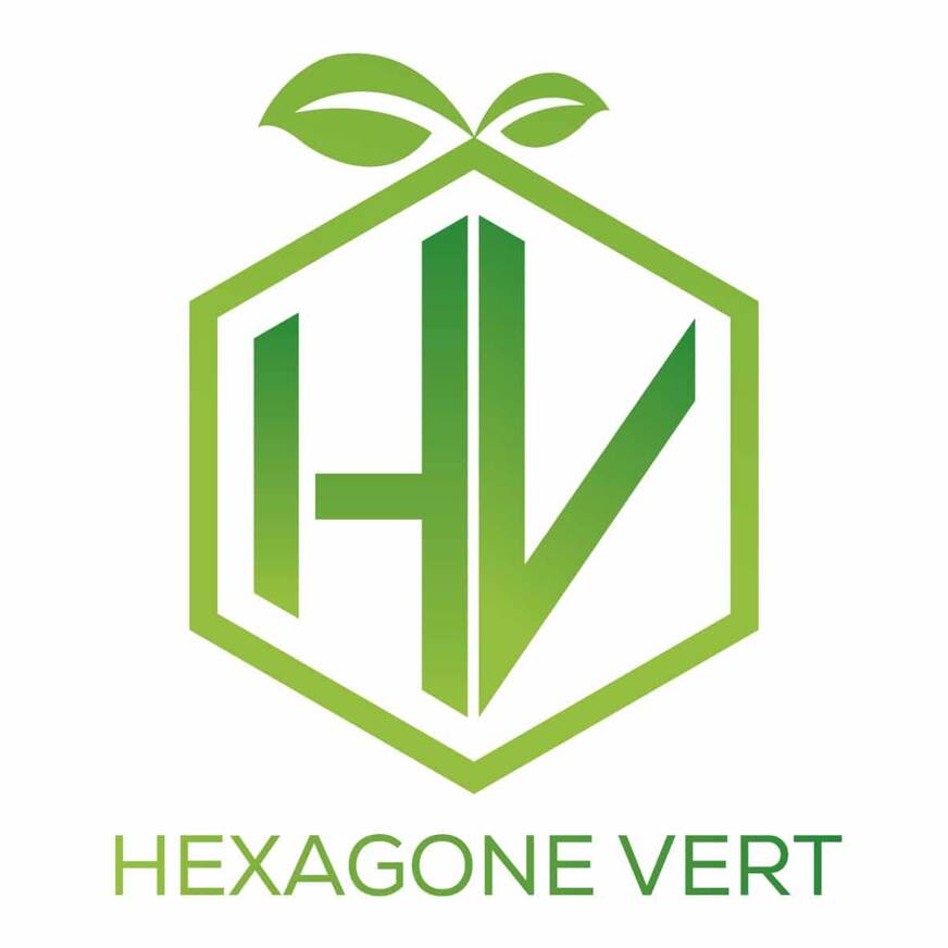 hexagone vert black friday